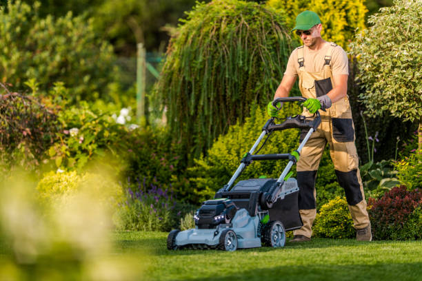 imgi_51_mowing-the-lawn-using-professional-equipment